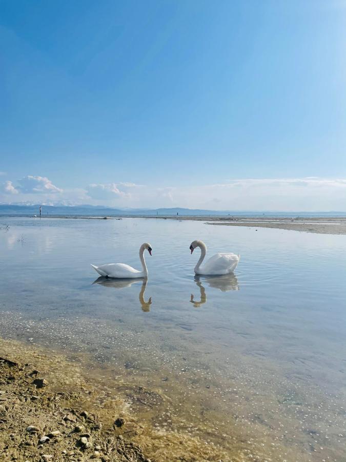 " Sunshine Am See " FDH Екстериор снимка